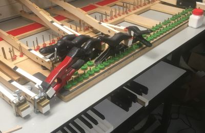 Bösendorf vleugel toetsen
            repareren